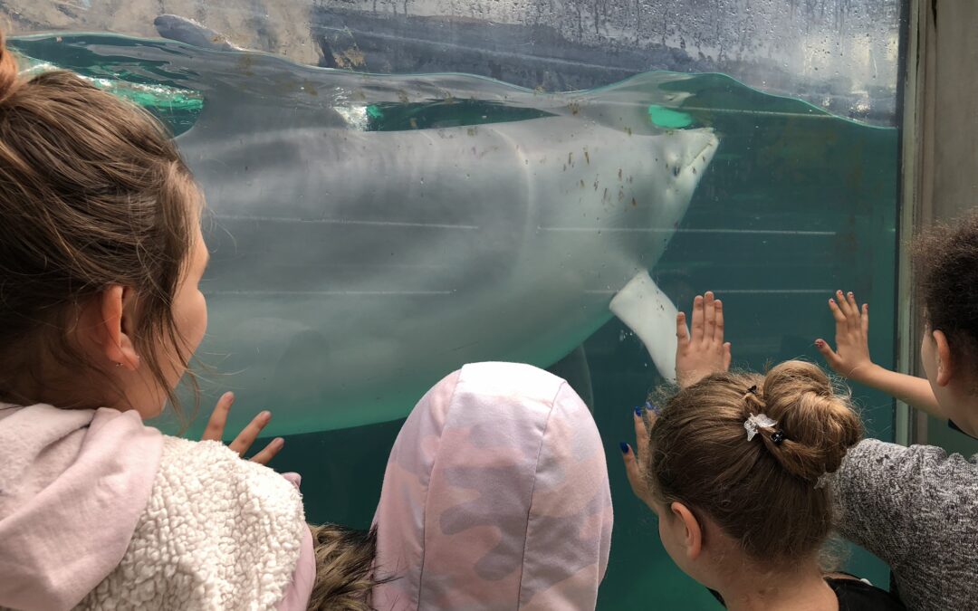 Die 4a besucht die Zooschule im Zoo Duisburg