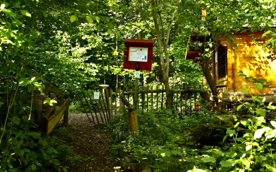 Ausflug  „Natur erforschen“